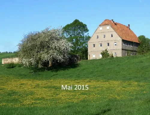10 Jahre Lindenhof