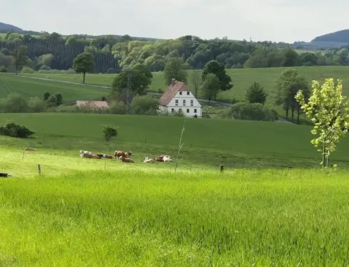 Lieblingsrunde