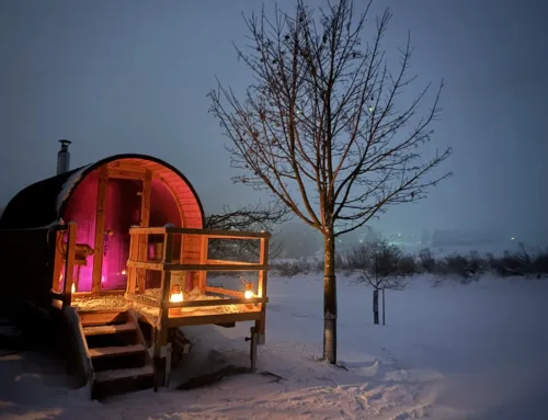 Sauna: Entspannung mit Ausblick